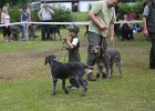 IMG_5443.jpg