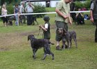 IMG_5444.jpg