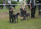 IMG_5450.jpg