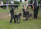 IMG_5451.jpg