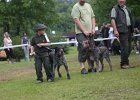 IMG_5453.jpg