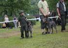 IMG_5454.jpg