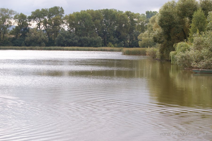 DSC01636