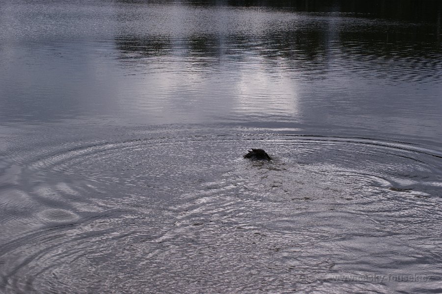 DSC01663