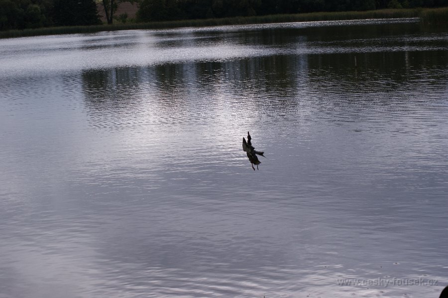 DSC01670