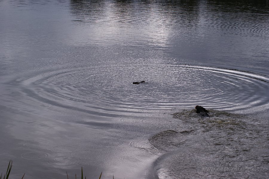 DSC01671