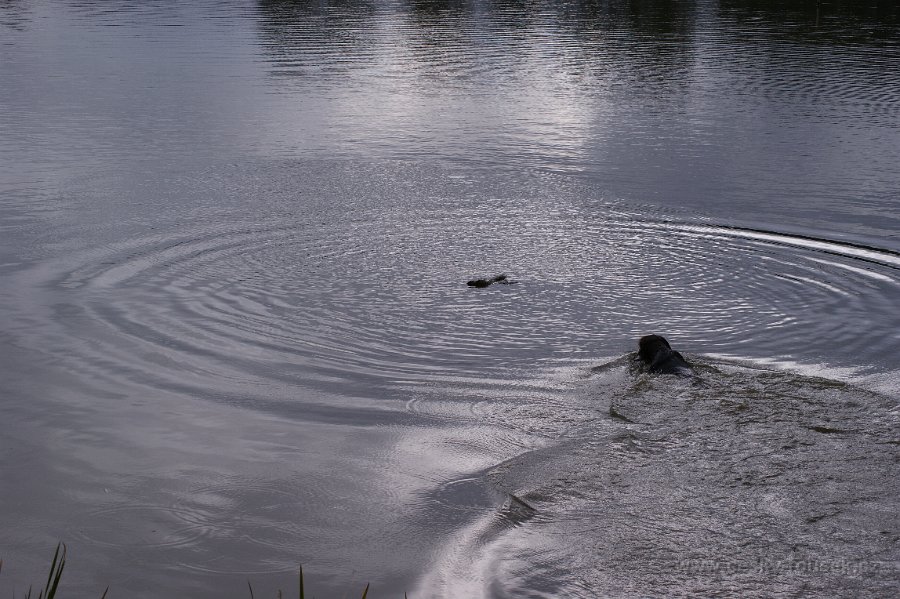 DSC01672