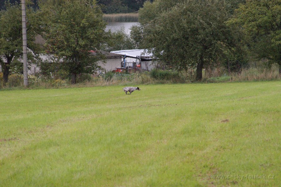 DSC01738