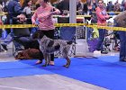 DSC_1833.JPG