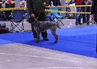 DSC_1841.JPG