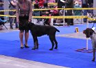 DSC_1879.JPG