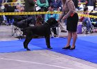 DSC_1884.JPG