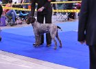DSC_1885.JPG