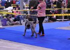 DSC_1887.JPG