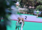 DSC_2057.JPG