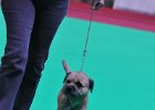 DSC_2062.JPG