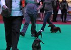 DSC_2073.JPG