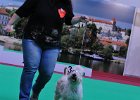 DSC_2110.JPG