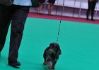 DSC_2111.JPG