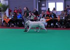 DSC_2124.JPG