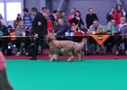 DSC_2128.JPG