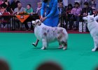 DSC_2130.JPG
