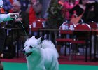 DSC_2132.JPG