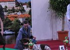 DSC_2156.JPG