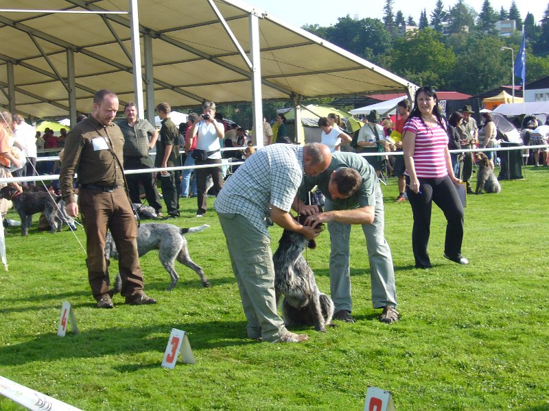 P1100075