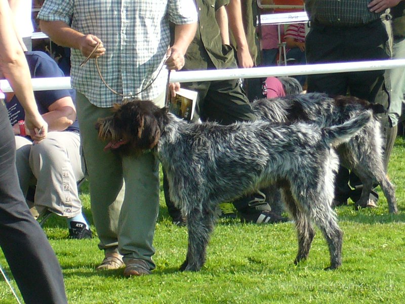 P1100080