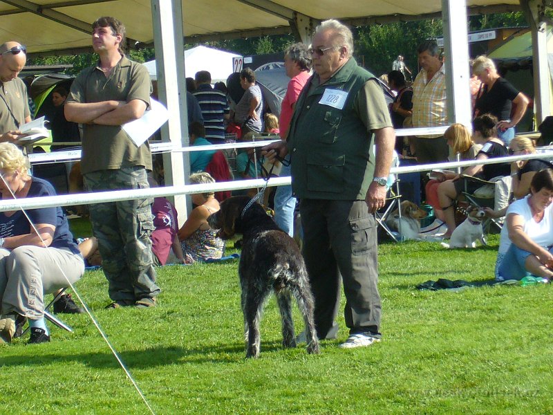 P1100088