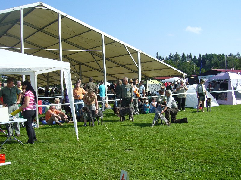 P1100104