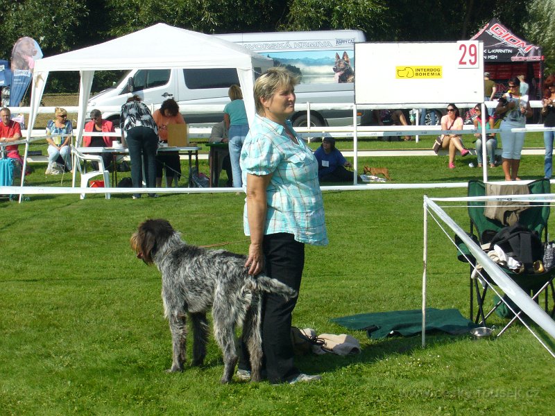 P1100135