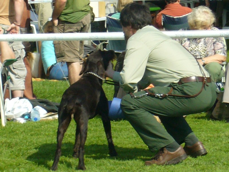 P1100136