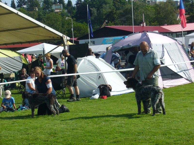 P1100142