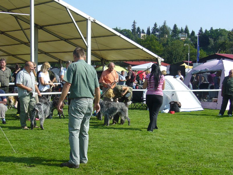 P1100145