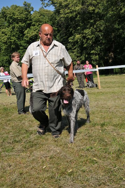 DSC 0317-42-brit-z-brezinova-dvora