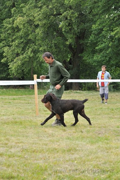 DSC 0398-arny-od-karlova-smrku