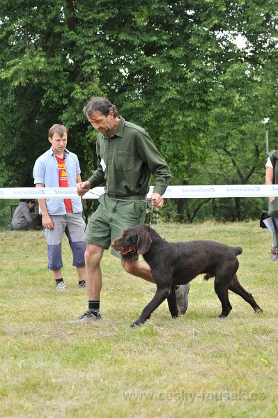 DSC 0402-arny-od-karlova-smrku