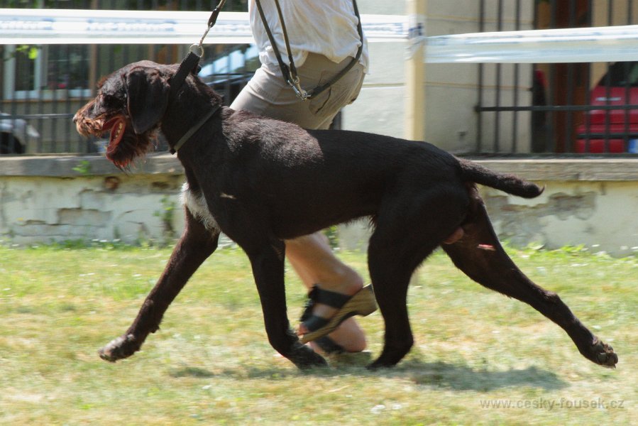 70 tr ot zart z kyjovic rescac 