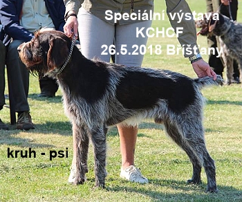 sv bristany psi 2018