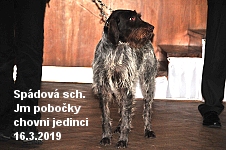 spadovka jm 2019