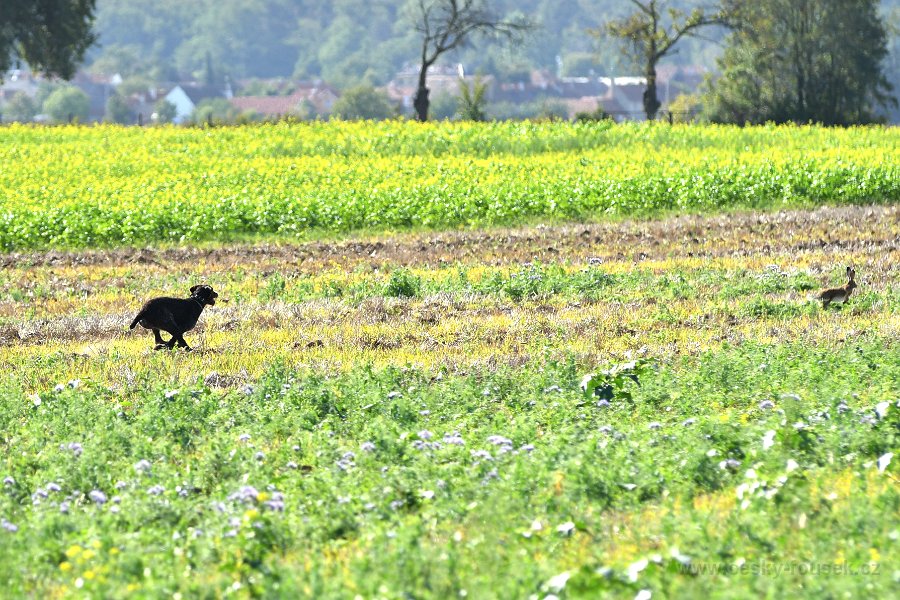 DSC 0926 sobota