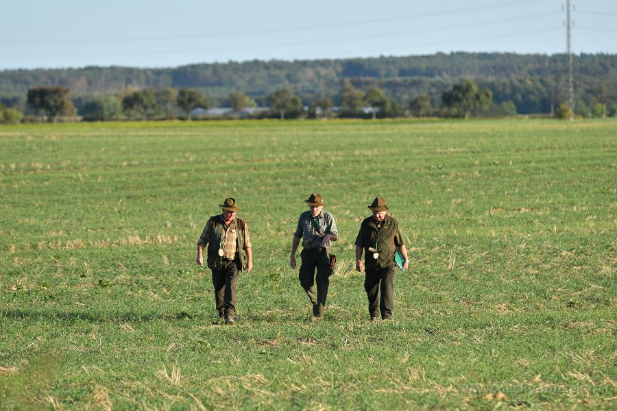 DSC 1435 sobota