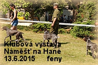 fotogal namest2015 feny