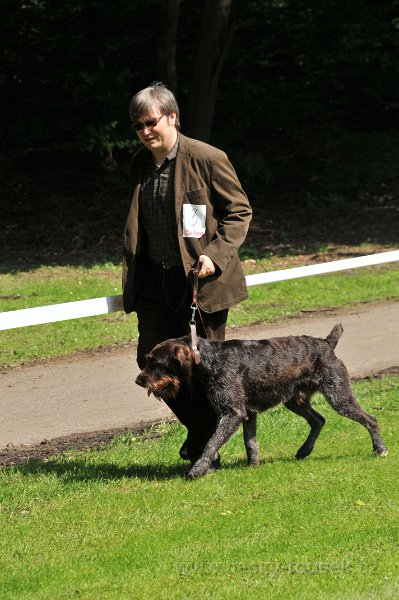 DSC 2569-tr ml-3-gaston z komarovskych blat