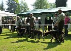 DSC_2556-dorost.JPG
