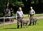 DSC_2557-dorost.JPG