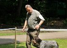 DSC_2764-tr_prac-41-odin_z_radejovicka.JPG