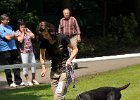 DSC_2792-dorost-49-cid_z_blatin.JPG